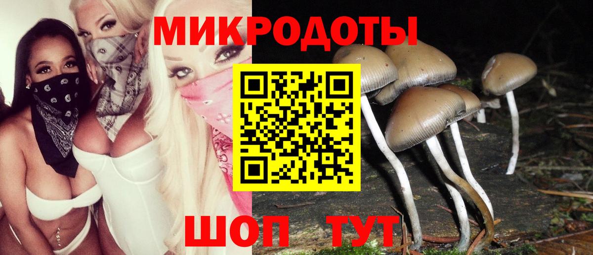 Галлюциногенные грибы мицелий Отрадный