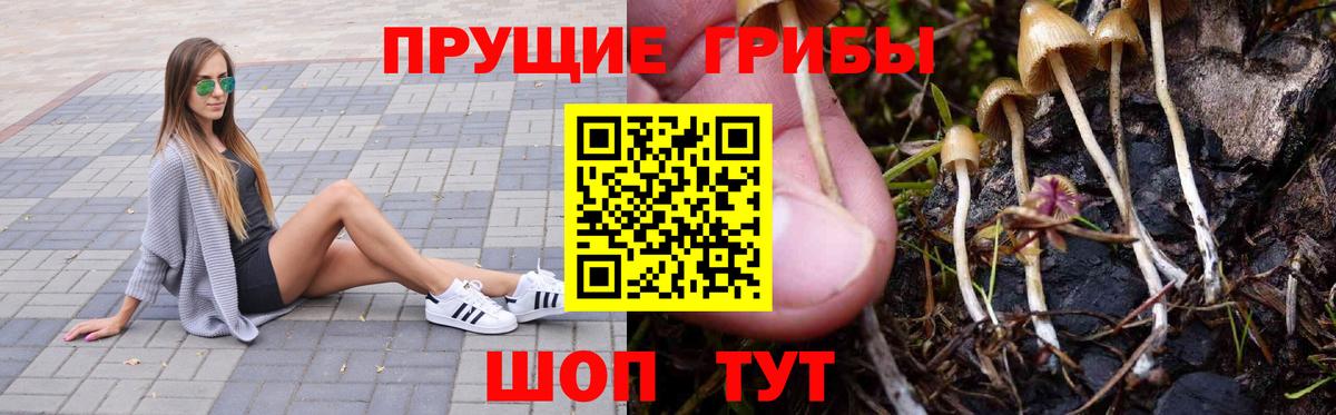Псилоцибиновые грибы мицелий  Вход с VPN  Отрадный 